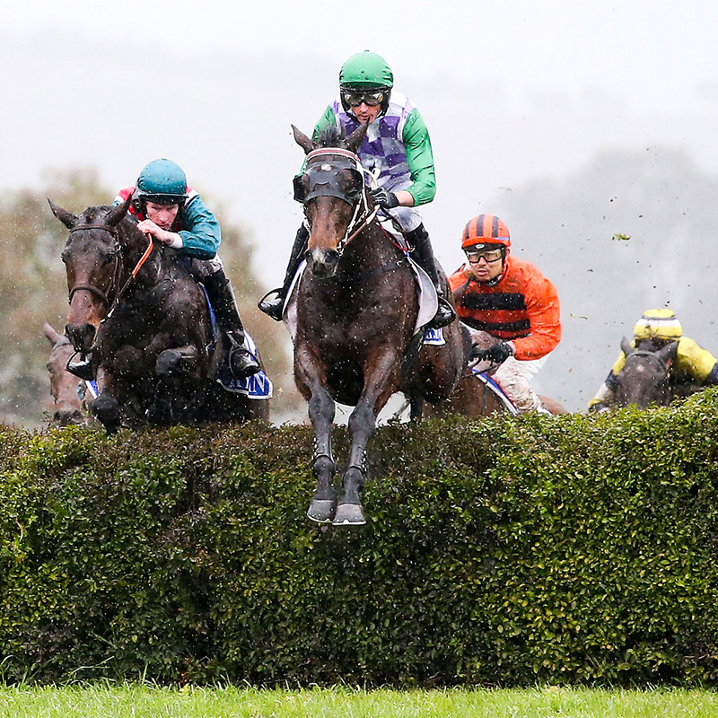 2020 Jumps racing program