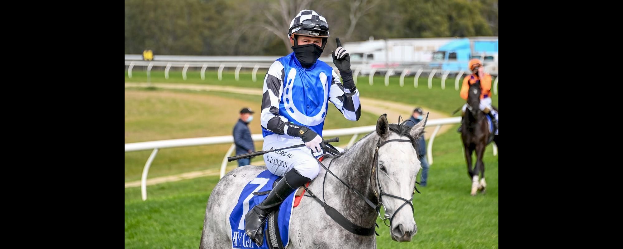 Casterton Saunter Boy Shane Jackson Peter Nolte Electrician Maiden Hurdle Win 090820