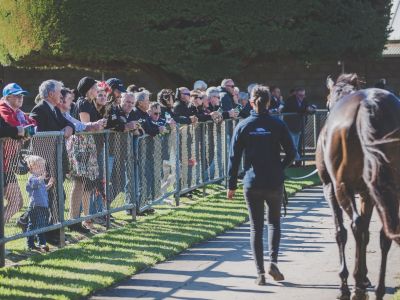 201605 Warrnambool Cup 307 1