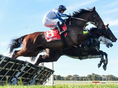 Melbourne 2021 Out And Dreaming Tom Ryan Sdown 230521 RP