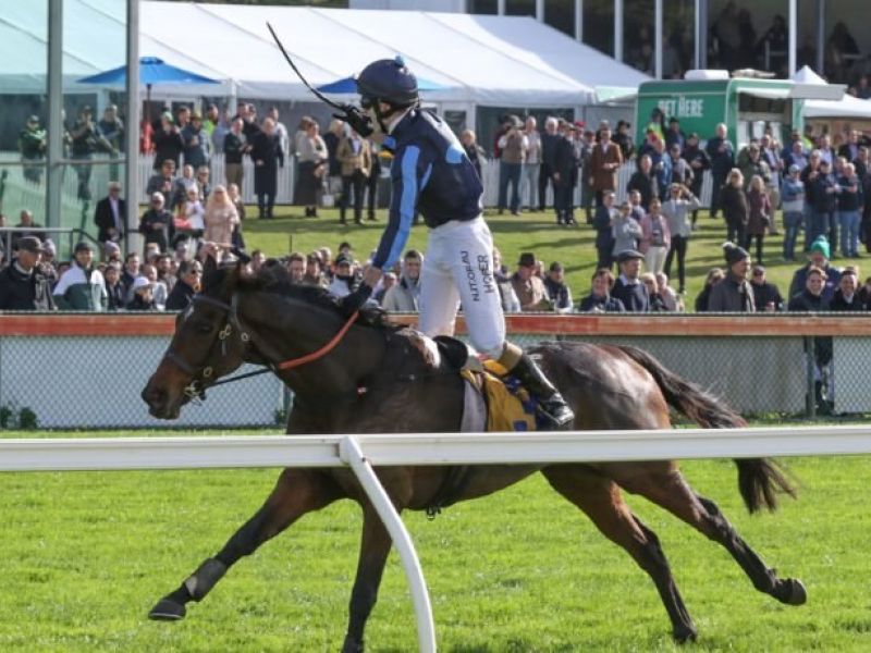 Flying Agent Brierly Steeple 04 05 2021 WIN Warrnambool 6 743 734x460