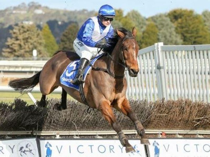 News Hub Forgotten Hurdler Racing